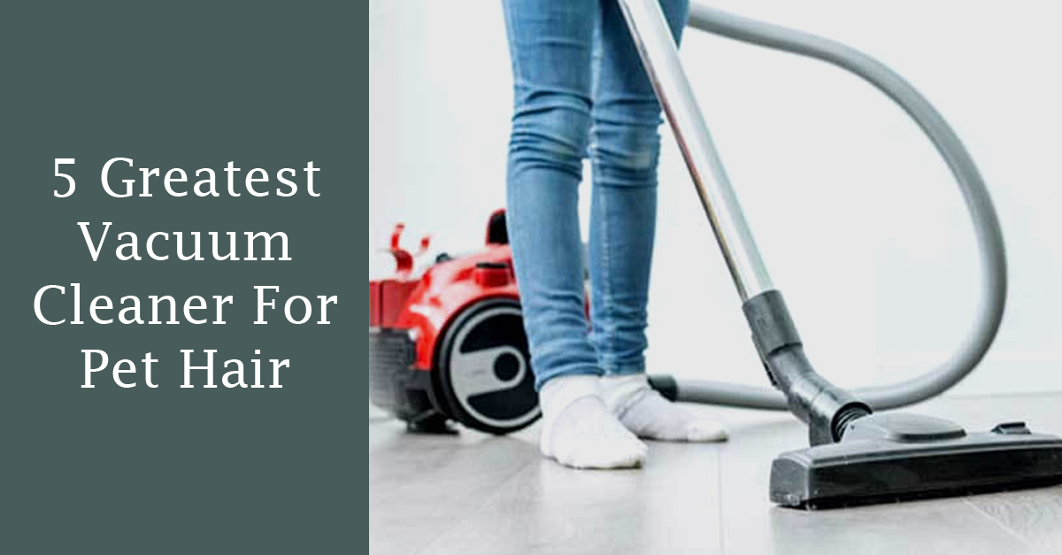 5 Greatest Vacuum Cleaner For Pet Hair 2021